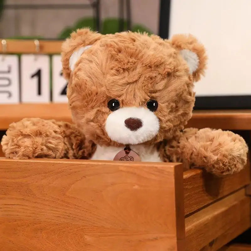 Handmade Teddy Bear Plush Toy — 35cm, 50cm & 80cm