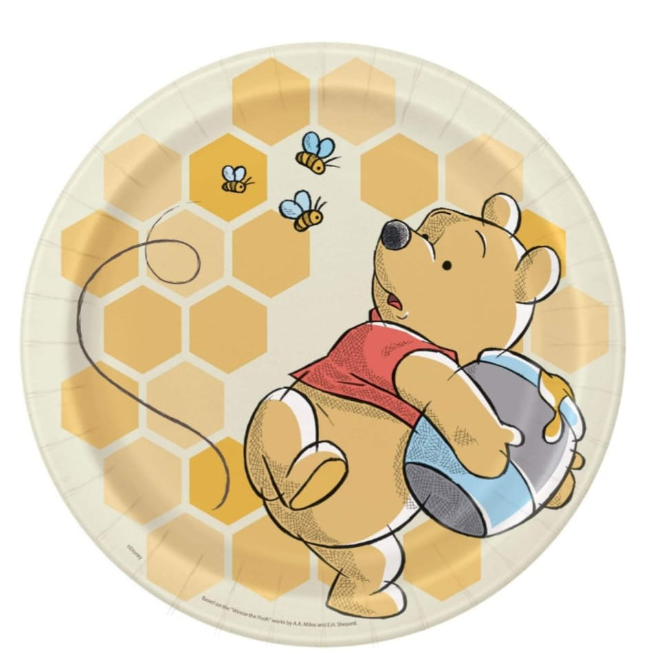 Lunch Plates Winnie the pooh Theme